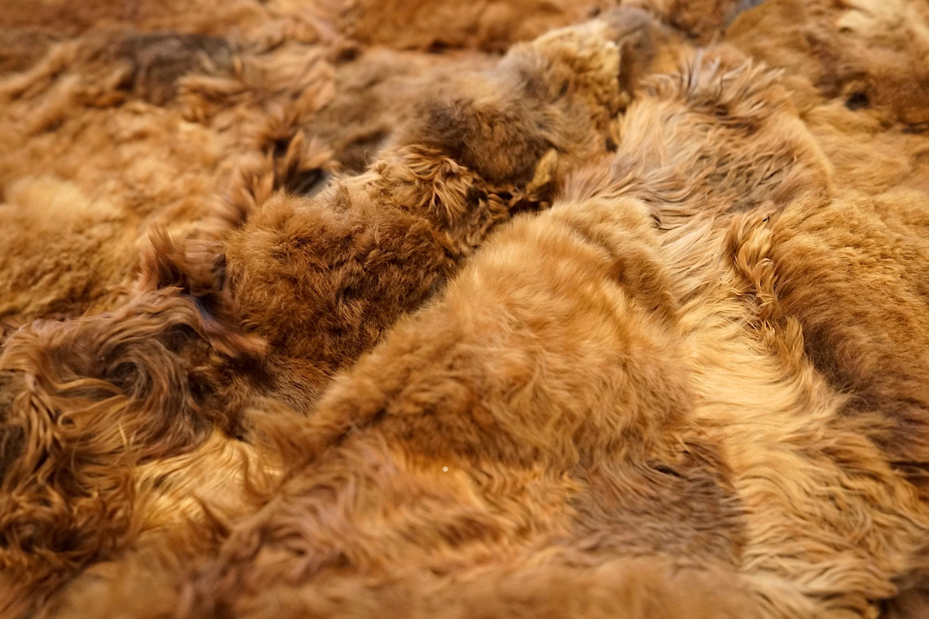 Alpaca Fur - Cobblestone - Image 4
