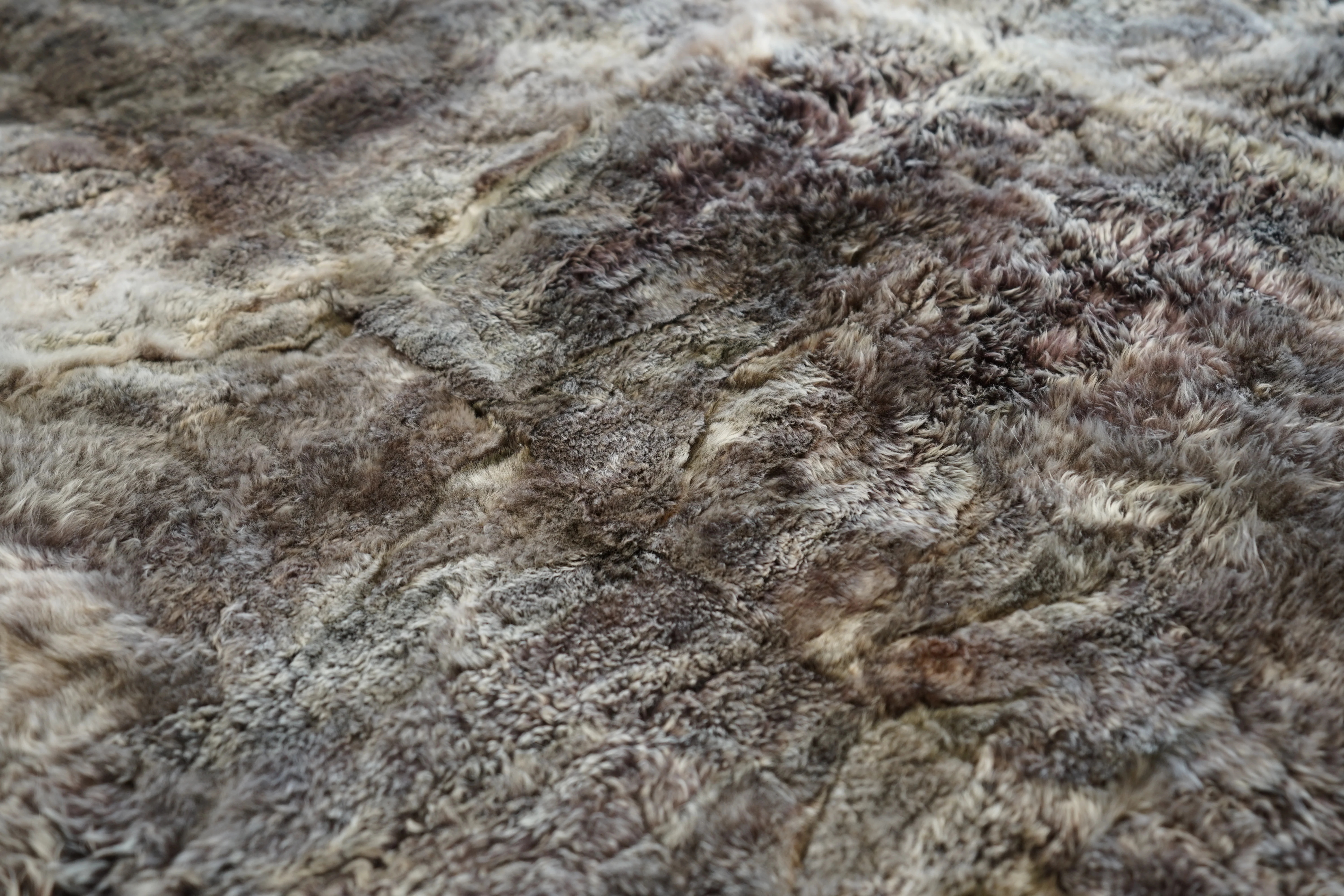 Alpaca Snowtop - Image 2